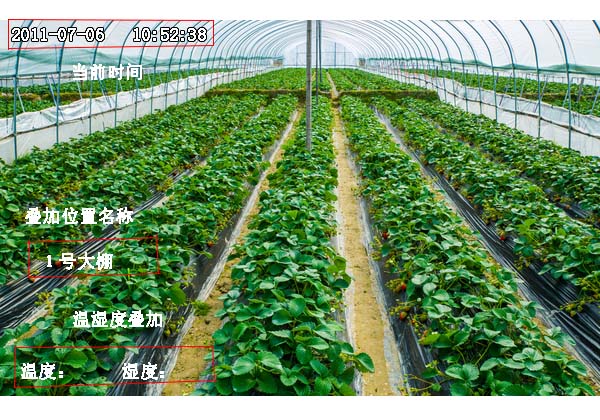 闻鼎pg娱乐官方网站